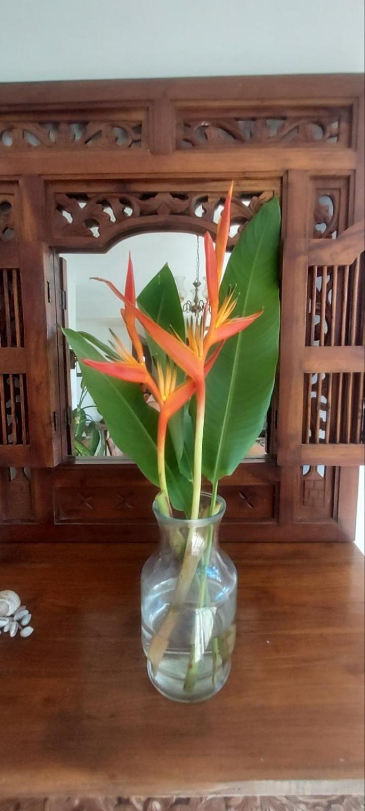 Residence71Nadi Fiji 외부 사진